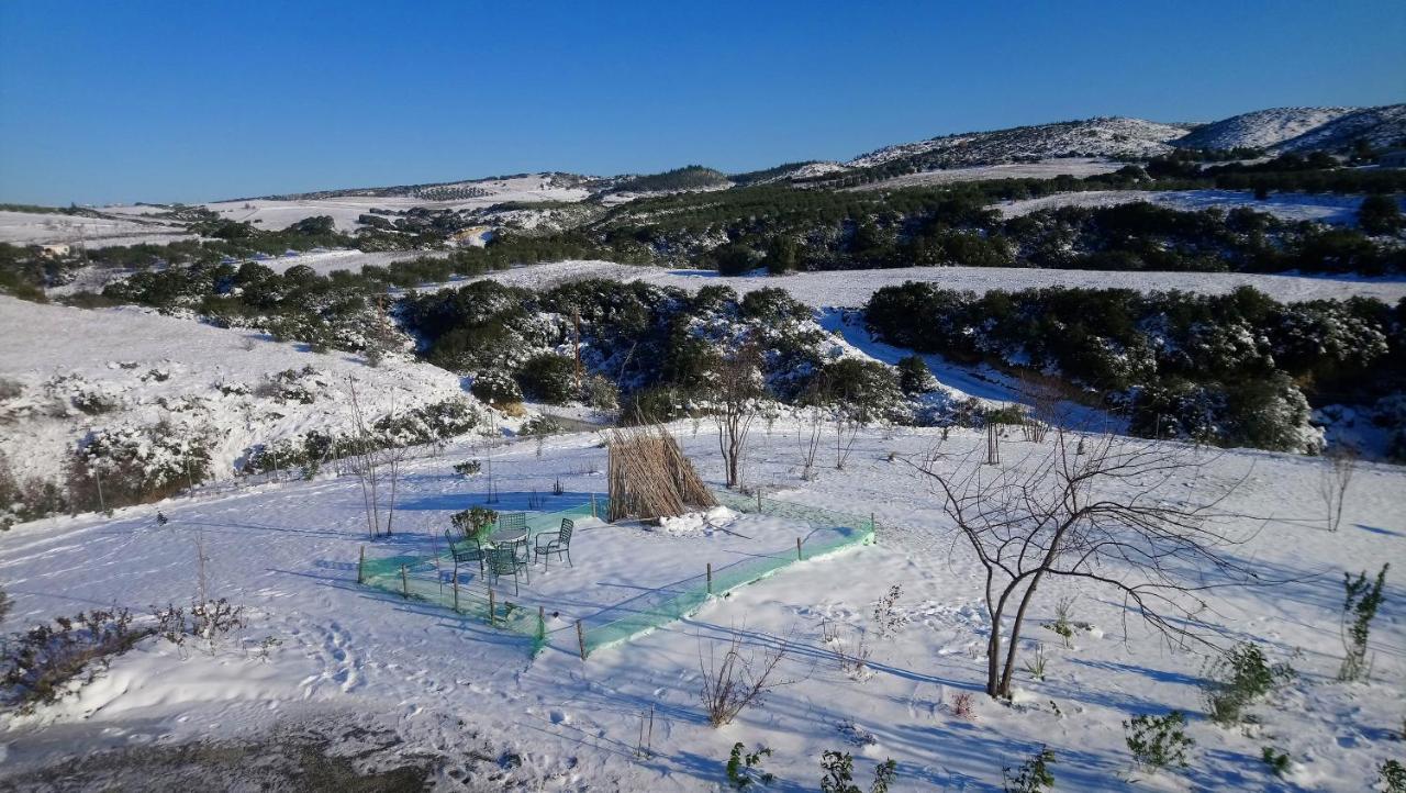 Daniil'S Luxury Villa And Spa Agios Antonios  Екстер'єр фото